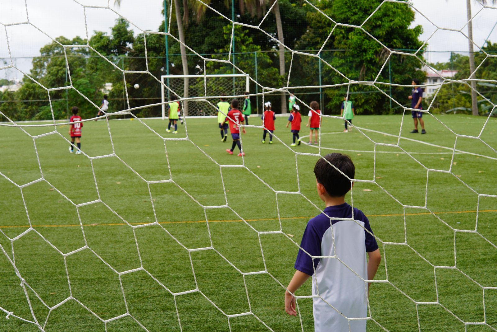 ¡Pequeños talentos brillan en la Liga Infantil Mixta de la Sociedad Española y Gleiser Academy!